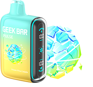 Geek Bar Pulse 15,000 Puffs